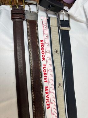 Coach Kids Belt Set - Brown, Dark Brown, Cream, Black